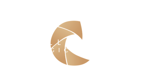 Art Gallerliyah acd