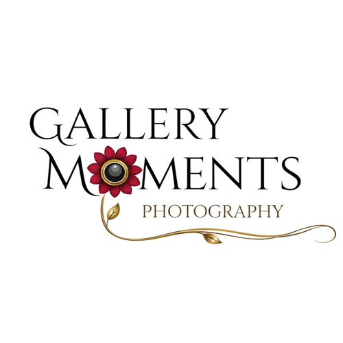 Gallery Moments photography