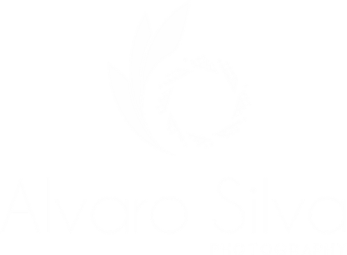 Álvaro Fotografias