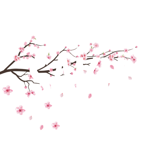 Saku Social
