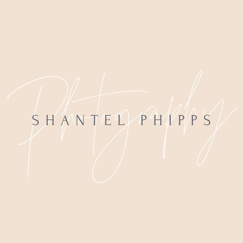 Shantel Phipps Photography