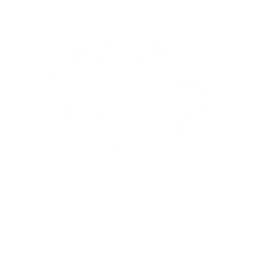 Stereogram