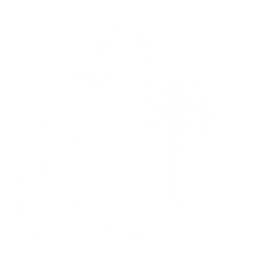 Ashley Sampson Photography
