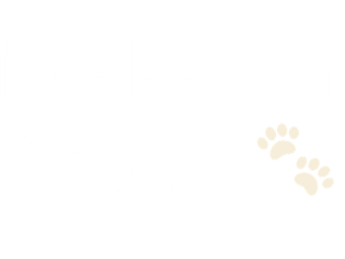 Michelle Anderson Photography 🐾