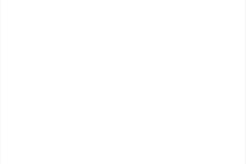 Alivia Photography