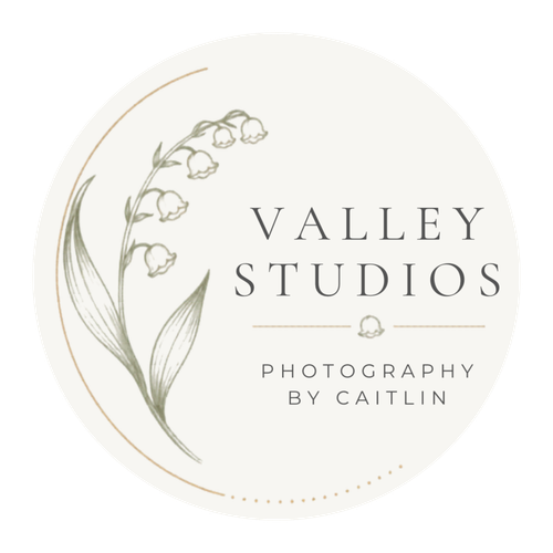 Valley Studios