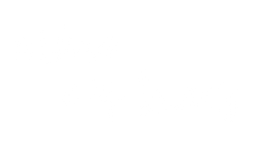 Alina Captures