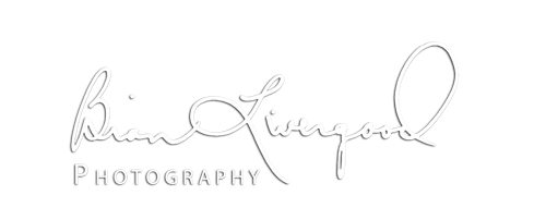 Brian Livergood Photography