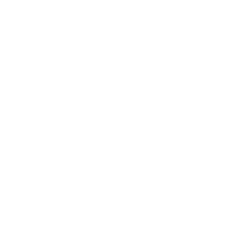 BTP Studio