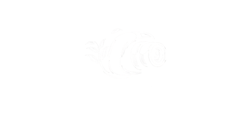 Mahi Rahman’s Photography