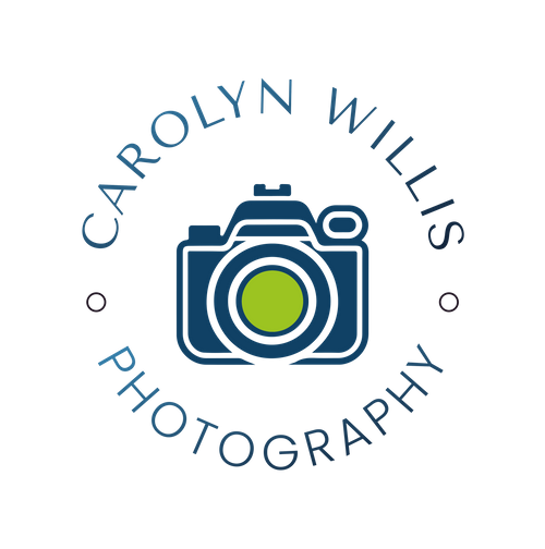 site-logo