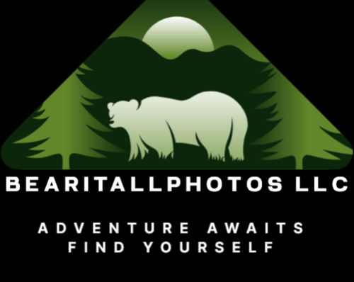 bearitallphotos