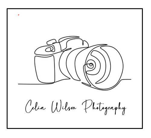 site-logo
