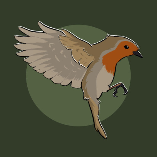 Robin Photography