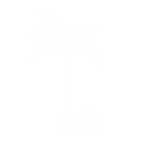 TheTropicalBum