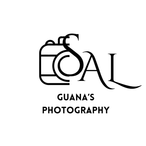 site-logo