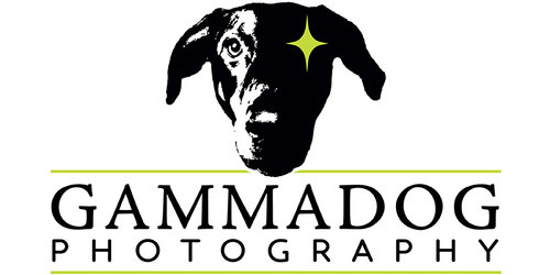 GAMMADOG photography