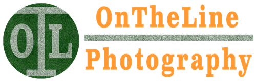 site-logo