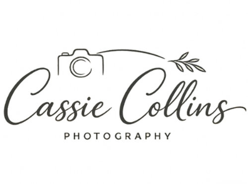 site-logo