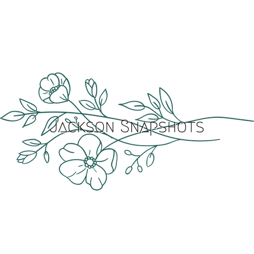 Jackson Snapshots