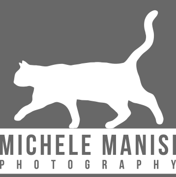 michele manisi photography