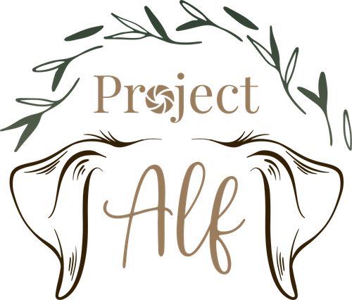 Project Alf