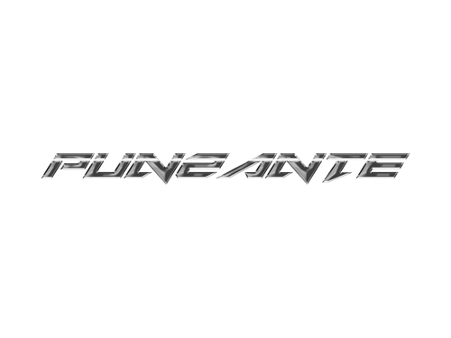 Punzante