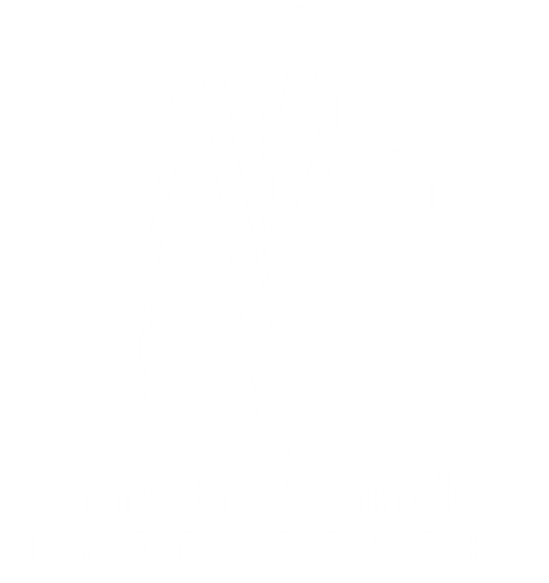 Amy Brownridge Photography
