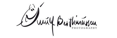 site-logo