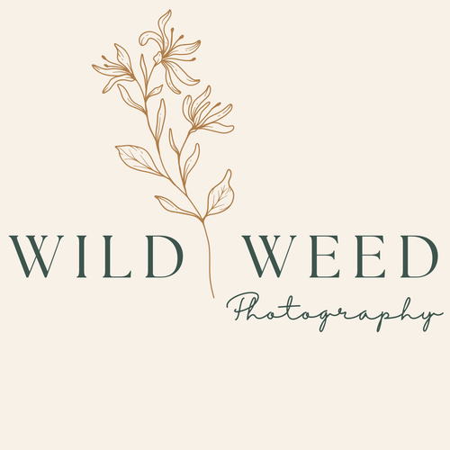 site-logo