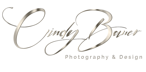Cindy Bauer Photography & Design