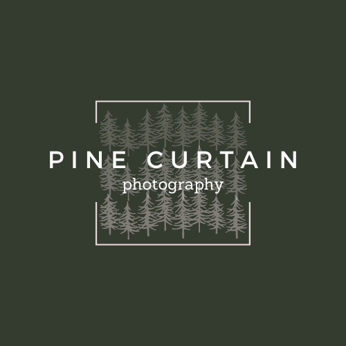 Pine Curtain Photography