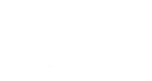 Jamie Slivka Photo