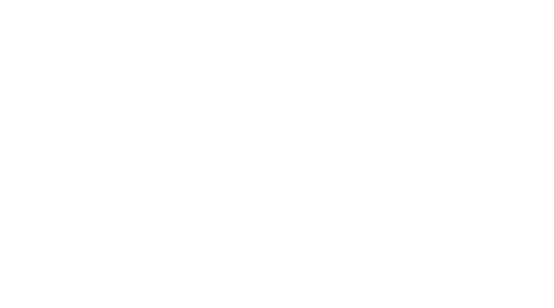 LE PORTRAIT