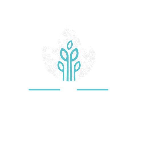 magnoliawebsite