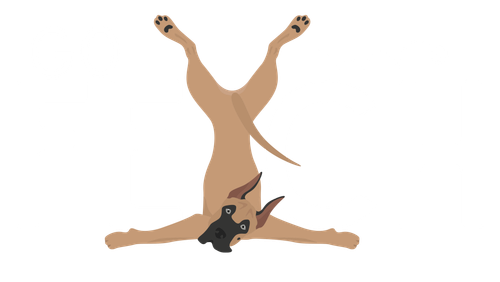site-logo