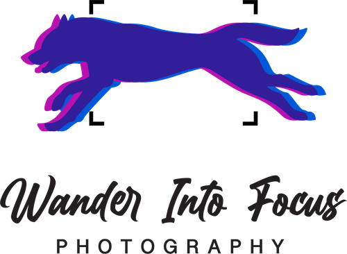 Wander into Focus