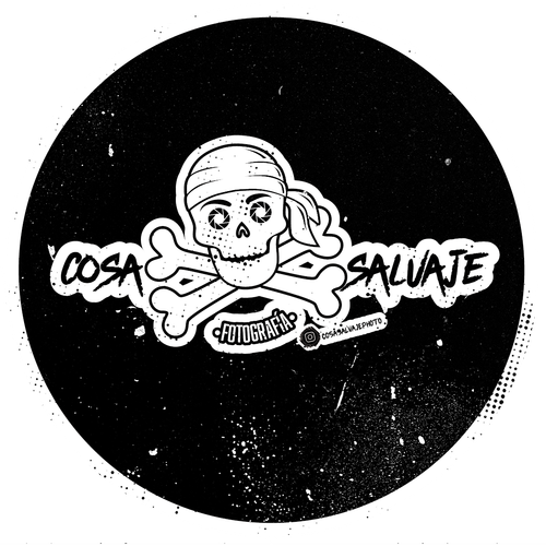 site-logo