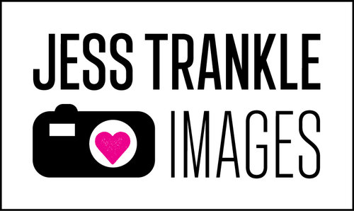 site-logo