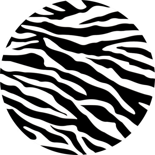 Ocelot Images LLC