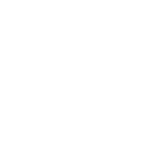 Elyse Shellie Photography