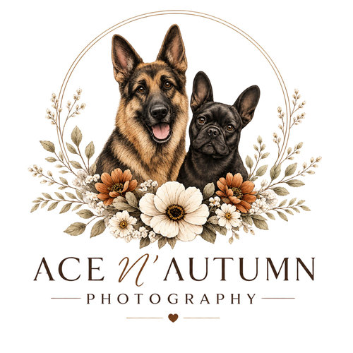 ACE N' AUTUMN PHOTOGRAPHY