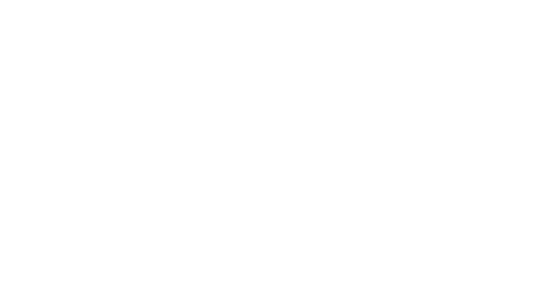 Priscilla Marie Photography