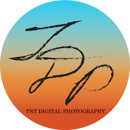 site-logo