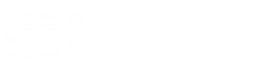 Wildlight Photography