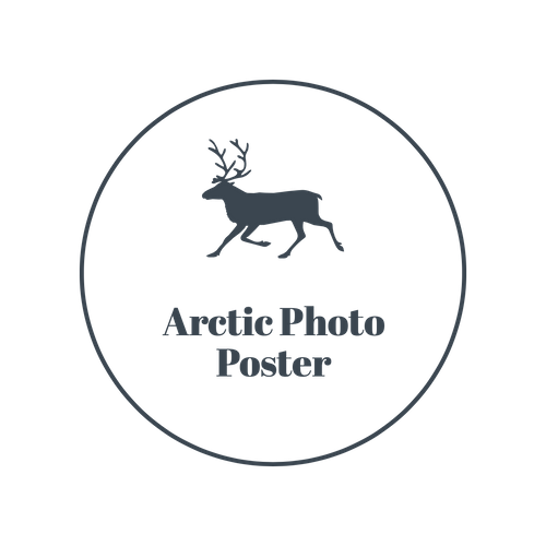 Arctic Photoposter