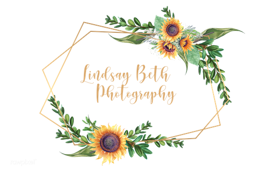 Lindsay Beth Photography