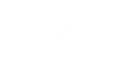 Creative Lenz Photography