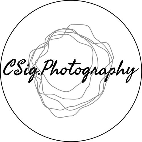 site-logo