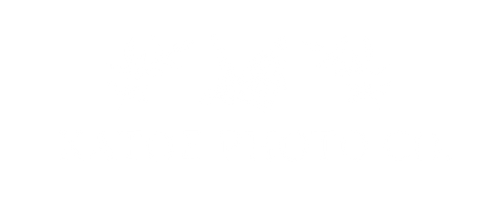 site-logo